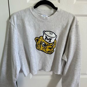 University of Michigan champion crop sweatshirt